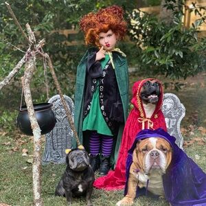 Winifred costume -girls with child’s wig